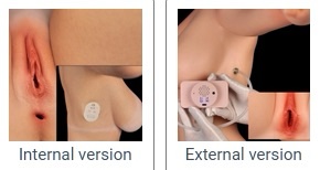 Vagina Option – Bild 5