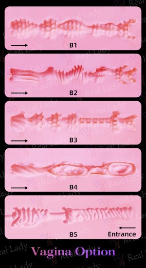 Auswahl Vagina – Bild 7