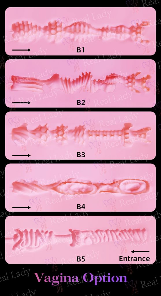 Auswahl Vagina
